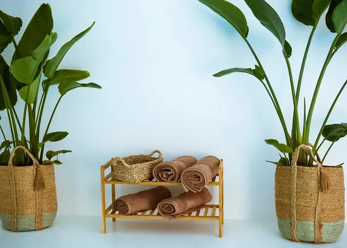 La Casa De Leo ガラチコ